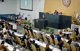Đại hội đồng LHQ thông qua Nghị quyết về lãnh thổ Ukraine
