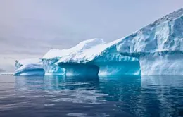 Tổng thư ký LHQ đến Greenland thị sát về biến đổi khí hậu