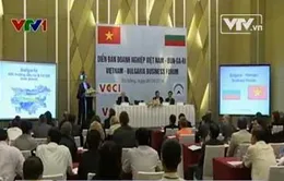 Diễn đàn doanh nghiệp Việt Nam - Bulgaria 