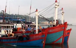 Làm thủ tục đưa 61 ngư dân bị giữ ở Indonesia về nước      