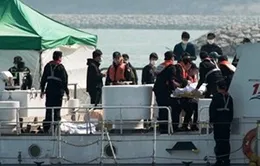Tìm thấy thi thể cô dâu người Việt trên phà Sewol