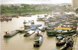 Để hàng lậu vào nội địa, 4 cán bộ biên phòng bị đình chỉ công tác  