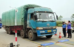Tăng cường kiểm soát tải trọng phương tiện
