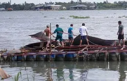 Chìm bè cá tại Vĩnh Long, 1 bé gái mất tích