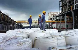Dự án bauxite Tây Nguyên bước đầu đáp ứng các yêu cầu về kinh tế