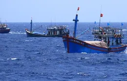 Tàu cá bị tàu Trung Quốc đâm đang được lai dắt về Đà Nẵng
