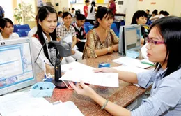 Ngành thuế TP.HCM triển khai hỗ trợ doanh nghiệp FDI