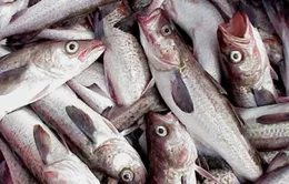 Nông, thủy sản Việt Nam được ưa chuộng tại Hàn Quốc