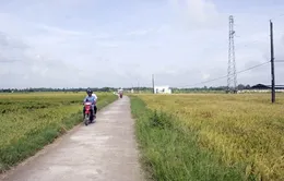Dùng một phần phí đường bộ để làm đường nông thôn