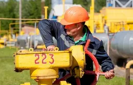 Nguồn cung khí đốt của Nga sang EU vẫn ổn định