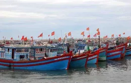 Chủ tàu sẽ được hỗ trợ toàn diện hơn 