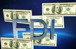 Bình Dương đón dự án FDI trị giá 30 triệu USD 