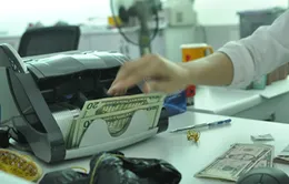 Thanh khoản ngoại tệ đang chịu áp lực