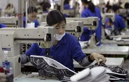 TP.HCM hạn chế tối đa nhập khẩu từ thị trường Trung Quốc