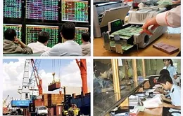 Thu ngân sách 6 tháng đầu năm ước đạt 53% 