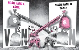 Chấm dứt sở hữu chéo, kinh doanh ngành nghề không liên quan 