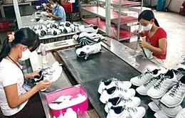 Xuất khẩu da giày cả năm sẽ vượt mốc 11 tỷ USD