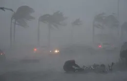 Bão Rammasun gây thiệt hại lớn ở Trung Quốc 