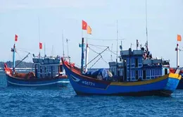 Trao 100 tủ thuốc sơ cấp cứu cho ngư dân Phú Yên  