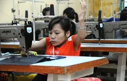 Hội hữu nghị vùng Gar (CH Pháp) hỗ trợ nạn nhân da cam Việt Nam
