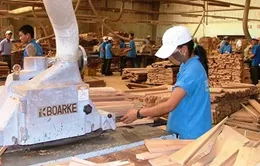 Doanh nghiệp nước ngoài chiếm 80% thị trường đồ gỗ nội địa