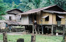 Done Khone - bản sao làng quê Việt ở Lào