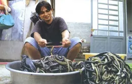 Một lần thử đi chợ rắn