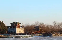 Khuyến mại đặc biệt tour Du Xuân nhiều nước châu Á