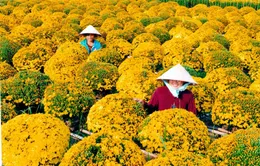 Xứ Lạng - 'thiên đường' của đặc sản