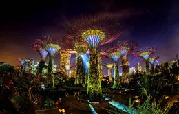 TransViet Travel khuyến mại tour Tết 