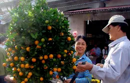 Phiên chợ quê ngày Tết