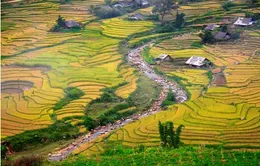 Kiêng kỵ khi vào bản ở Sapa 
