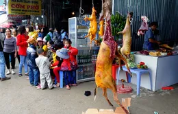 Chùa Hương tắc nghẽn ngày khai hội