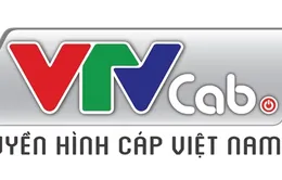 VTVcab - Thương hiệu mới của Truyền hình Cáp Việt Nam