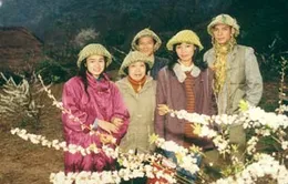 20h30, VTV1: Phim truyện "Hoa ban đỏ" (Phần 2)