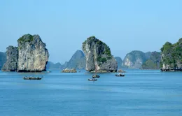 20h05, 19/10, VTV1: THTT Lễ kỷ niệm 50 năm thành lập tỉnh Quảng Ninh