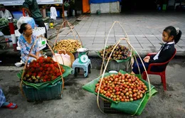 20h15, VTV6: Sống khác: Bụi phố - Tập 1