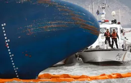 Phà Sewol chở trọng lượng hàng hóa gấp 2 lần mức cho phép
