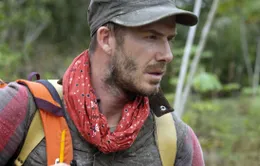 David Beckham thừa nhận nhớ vợ con khi quay show thực tế ở rừng Amazon