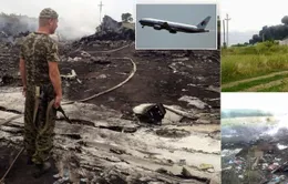 Máy bay Malaysia Airlines rơi tại Ukraine 