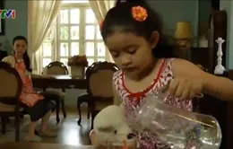 Phim cuối tuần: Công chúa nhỏ (21h30, VTV1)