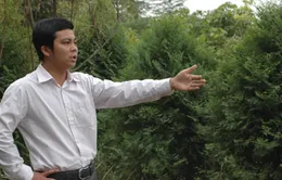 "Vua rừng" 8x