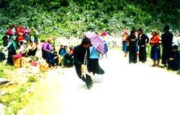 Tết trên vùng “đất chết”... (Kỳ 2)
