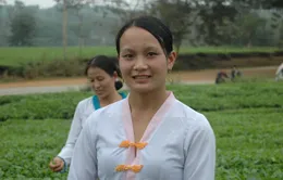 Huyền thoại vùng mỹ nữ trên đất Tổ (kỳ 2)