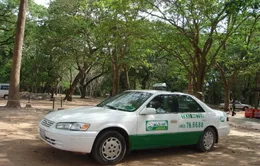 Câu chuyện của "bóng hồng" lái xe taxi Mai Linh 