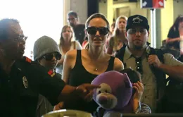 Mẹ con nhà Angelina Joilie đến Hawaii làm phim