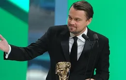 Leonardo DiCaprio không thất vọng khi để trượt giải BAFTA