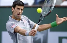 Indian Wells 2014: Novak Djokovic vào bán kết – "Sát thủ" trở lại?