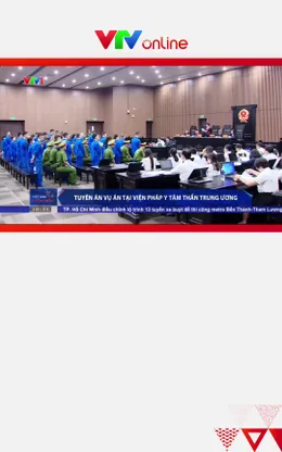 Vụ án tại Viện Pháp y tâm thần Trung ương: "Bà trùm" Mai Anh lĩnh án 30 năm tù