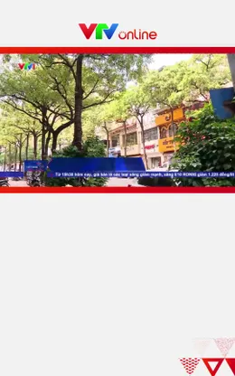 Hà Nội rà soát mật độ cây hoa sữa